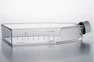 德國(guó)艾本德(Eppendorf)Cell Culture FlasksT-175,無(wú)菌無(wú)熱原,無(wú)RNase和DNase,無(wú)人類和細(xì)菌DNA,無(wú)細(xì)胞毒素,帶濾膜透氣蓋,TC處理,30.0mL